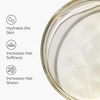 image:imageThe Ordinary 100 Organic ColdPressed Moroccan Argan Oil Nourishing and Hydrating Treatment for Skin amp Hair 1 Fl Oz100 Fl Oz Pack of 1