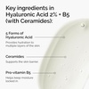 image:imageThe Ordinary Hyaluronic Acid 2  B5 with Ceramides MultiDepth Hydration Serum for Plumper Smoother Skin1 Fl Oz Pack of 1
