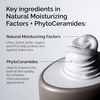 image:imageThe Ordinary Natural Moisturizing Factors  PhytoCeramides Rich Moisturizer for Dry Skin amp Barrier Strength1 Fl Oz Pack of 1