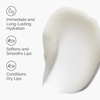 image:imageThe Ordinary Squalane  Amino Acids Hydrating Lip Balm for Lips Elbows and Cuticles 05 Fl Oz05 Fl Oz Pack of 1