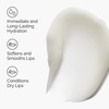 image:imageThe Ordinary Squalane  Amino Acids Hydrating Lip Balm for Lips Elbows and Cuticles 05 Fl Oz05 Fl Oz Pack of 2